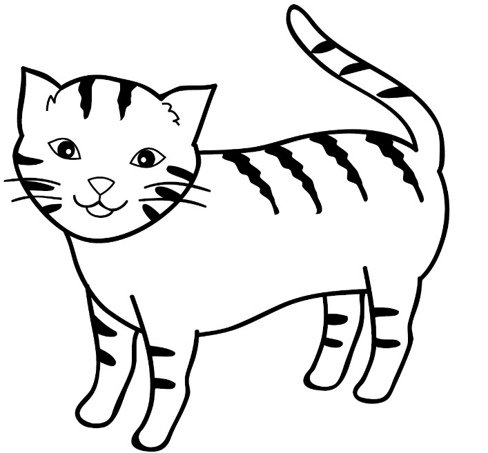 Detail Belajar Menggambar Kucing Nomer 15