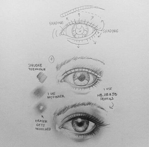 Detail Belajar Menggambar Sketsa Wajah Nomer 11