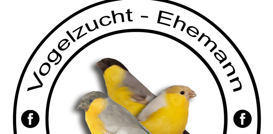 Detail Dompfaff Bilder Nomer 22