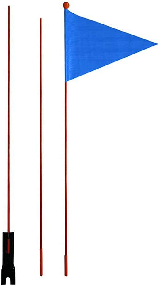 Detail Dreieckige Flagge Nomer 10