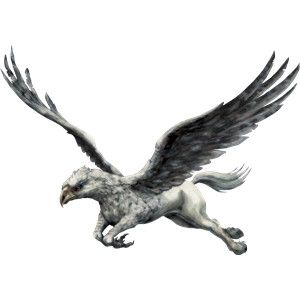 Detail Eagle Horse Harry Potter Nomer 2