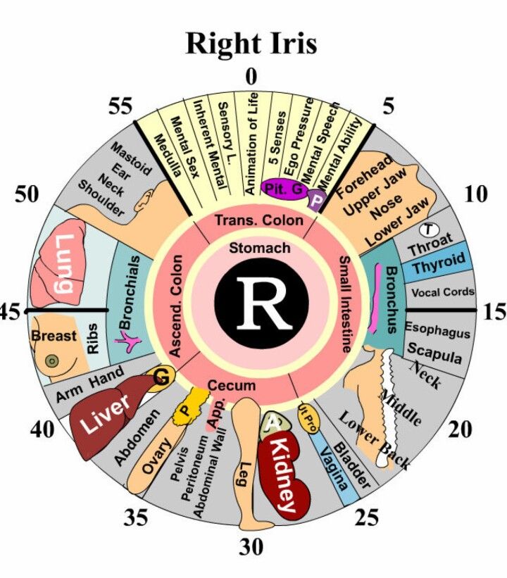 Detail Eye Map Iridology Nomer 2