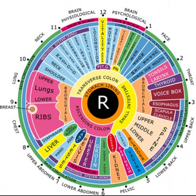 Detail Eye Map Iridology Nomer 3