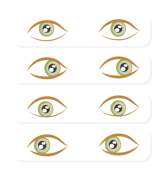 Detail Eye Map Iridology Nomer 5