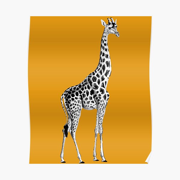 Detail Giraffe Gezeichnet Nomer 16