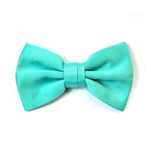 Detail Light Teal Bow Tie Nomer 23