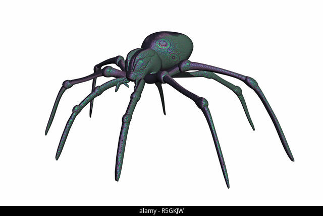 Detail Phase Spider Nomer 17