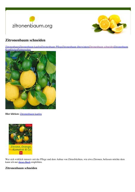 Detail Zitronenbaum Zeichnung Nomer 25