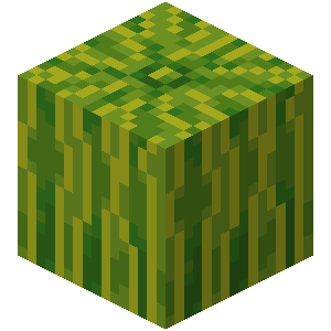 Detail Beetroot Soup Minecraft Nomer 12