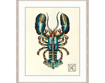 Detail Blue Lobster Playa Del Carmen Nomer 14