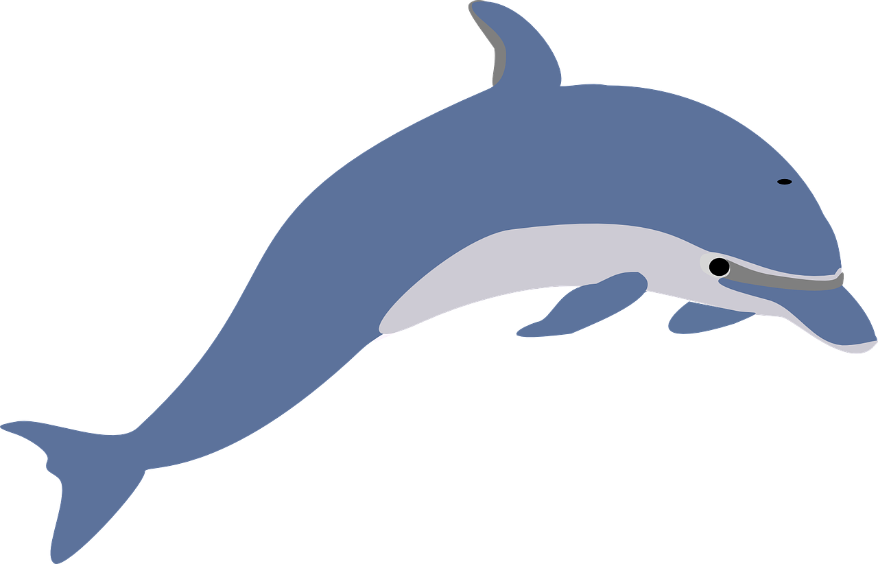 Detail Delfin Springt Nomer 11