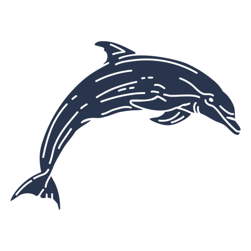 Detail Delfin Springt Nomer 15