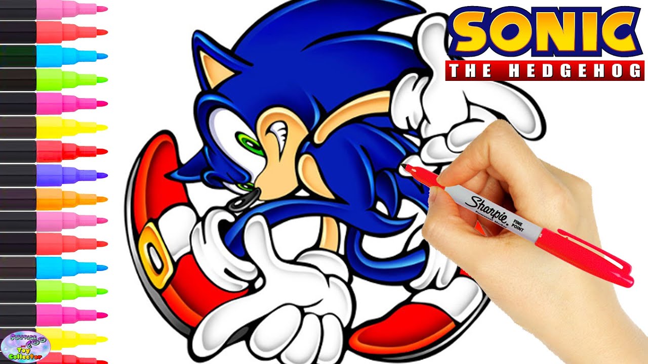 Detail Foto Kartun Sonic Nomer 33