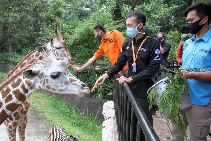 Detail Foto Kebun Binatang Nomer 21