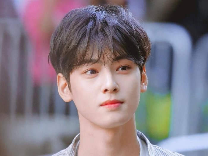 Detail Foto Kecil Cha Eun Woo Nomer 27