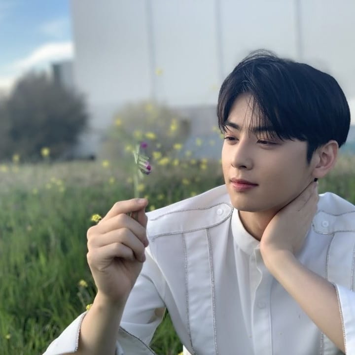 Detail Foto Kecil Cha Eun Woo Nomer 43