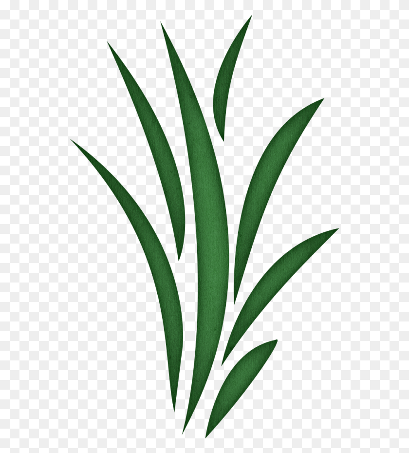 Detail Weeds Png Nomer 7