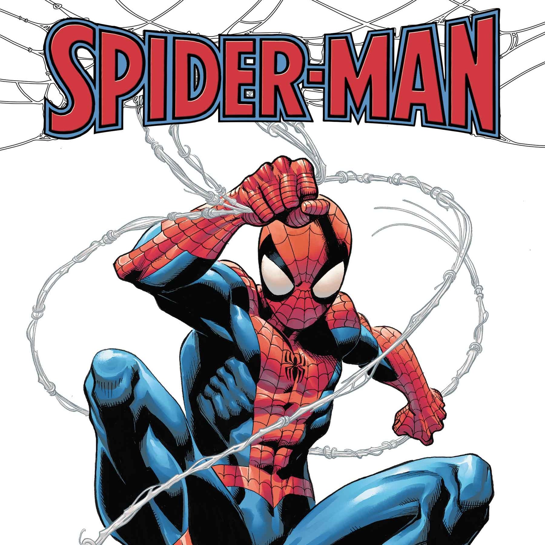 Detail Bilder Von Spider Man Nomer 11