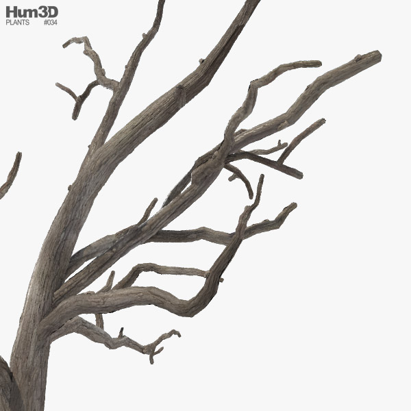 Dead Tree Obj Free - KibrisPDR