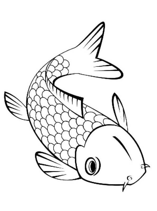 Detail Form Fisch Nomer 18