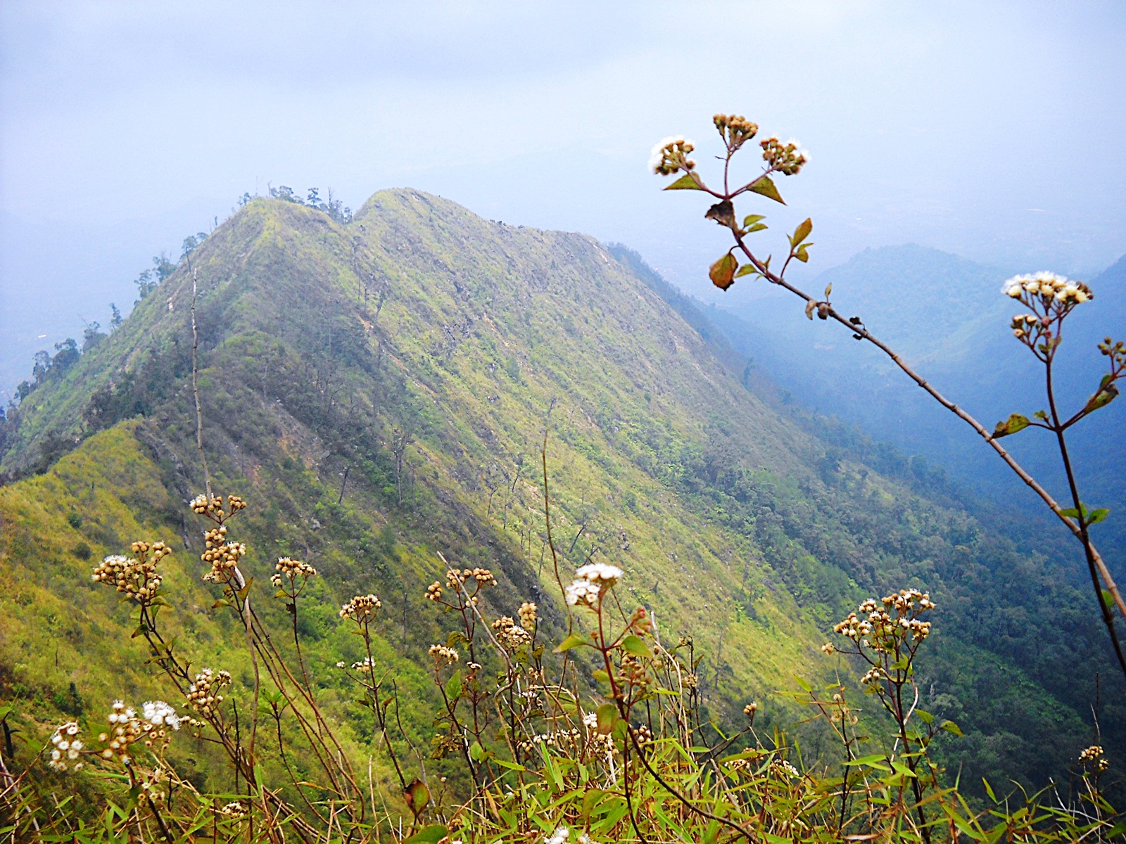 Detail Foto Keren Di Gunung Nomer 39