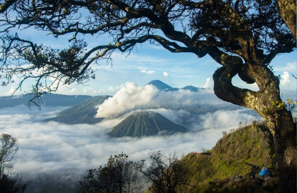 Detail Foto Keren Di Gunung Nomer 49