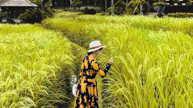 Detail Foto Keren Di Sawah Nomer 4