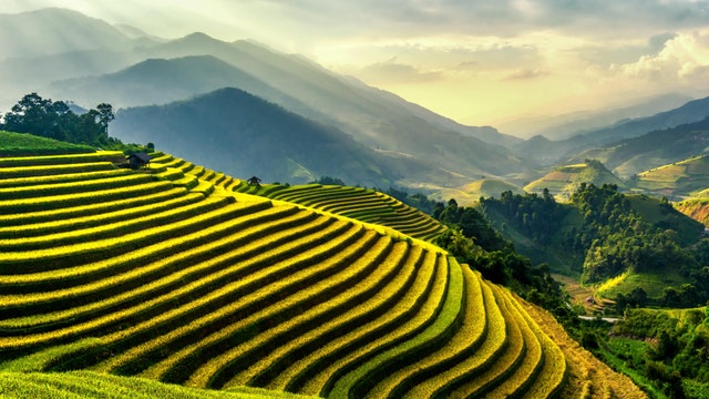 Detail Foto Keren Di Sawah Nomer 33