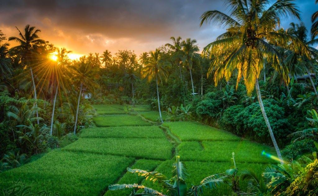 Detail Foto Keren Pemandangan Alam Nomer 39