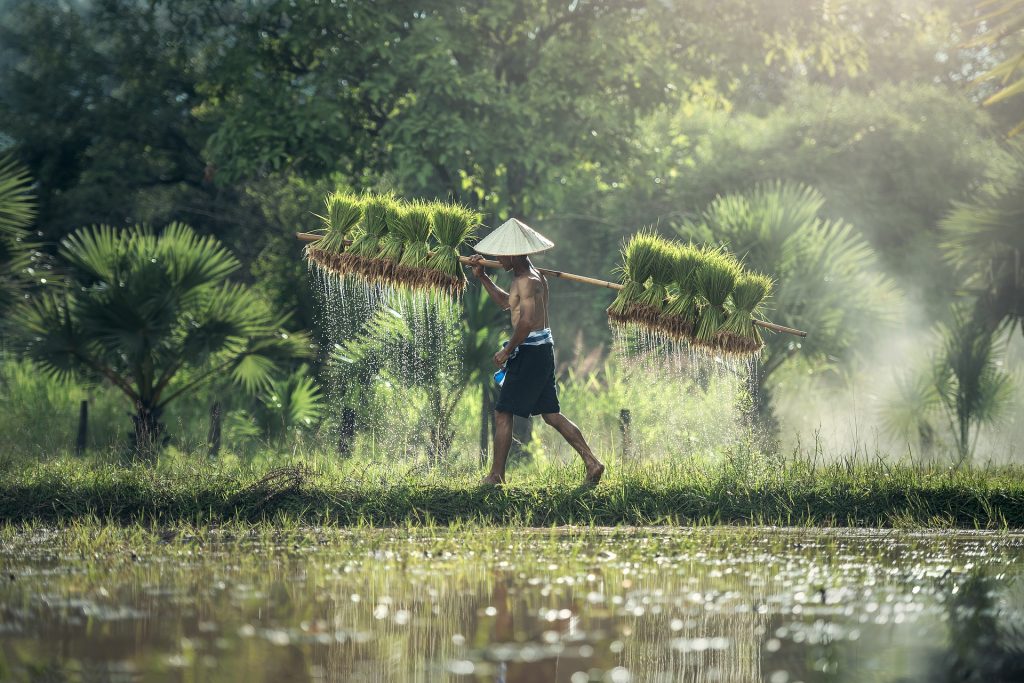 Detail Foto Kerja Keras Nomer 14