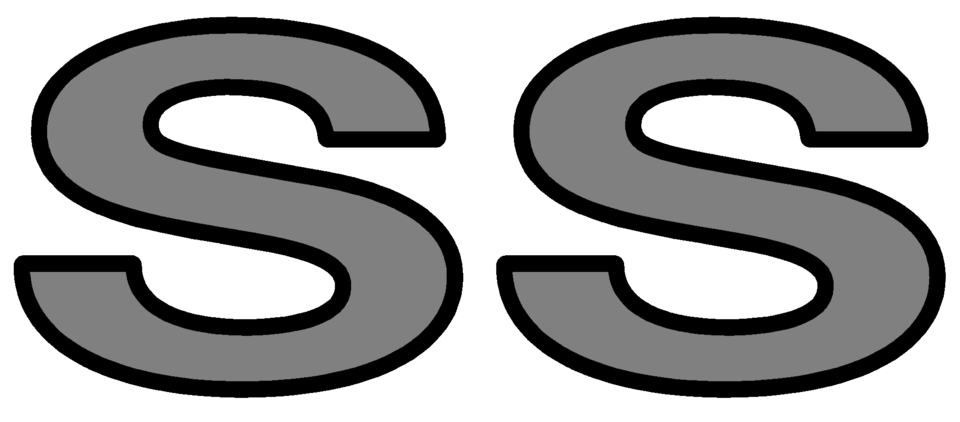 Detail Ss Logo Nomer 17