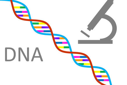 Detail Arbeitsblatt Dna Nomer 16