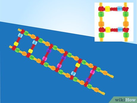 Detail Arbeitsblatt Dna Nomer 20