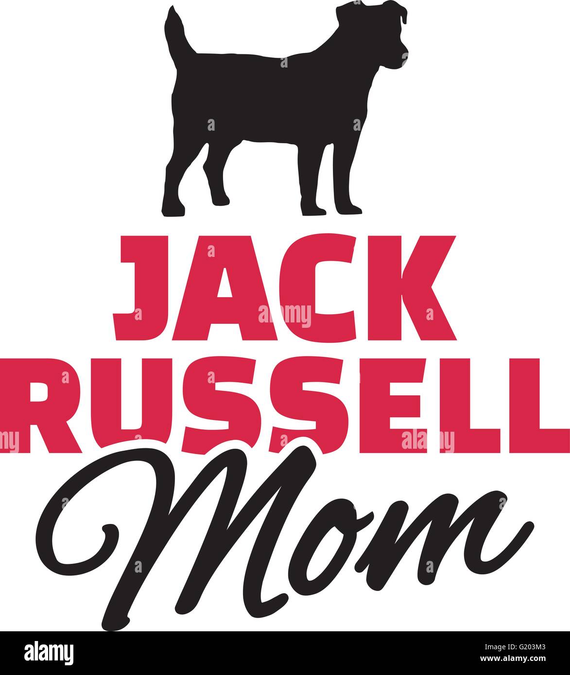 Detail Drahthaar Jack Russell Terrier Nomer 22