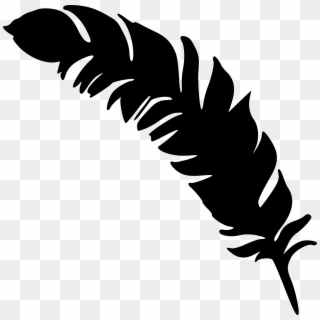 Detail Feather Png Nomer 18