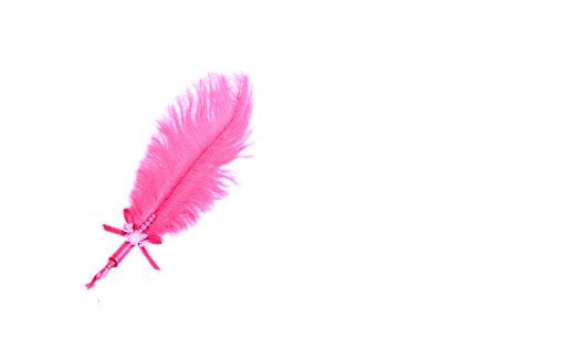 Detail Feather Png Nomer 20