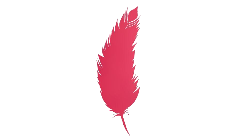 Detail Feather Png Nomer 21