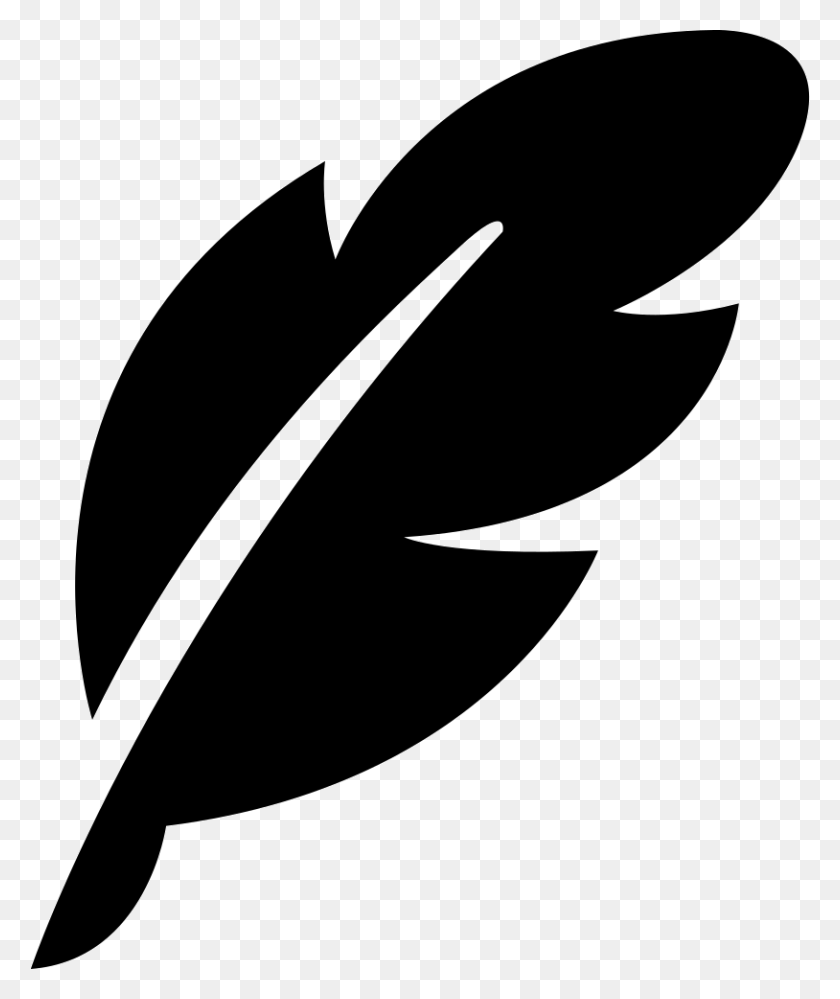 Detail Feather Png Nomer 22
