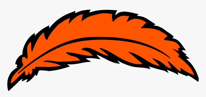 Detail Feather Png Nomer 4