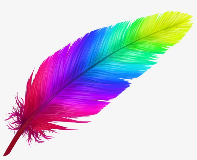 Detail Feather Png Nomer 6