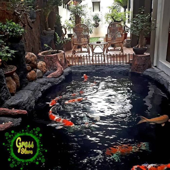 Detail Foto Kolam Ikan Nomer 45