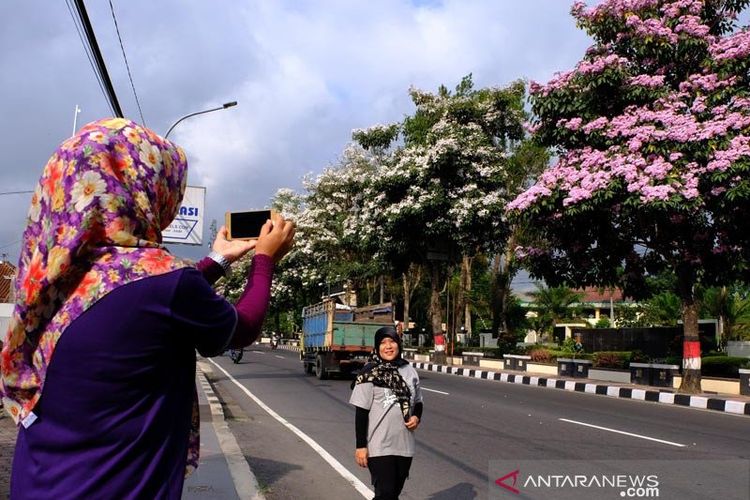 Detail Foto Kota Magelang Nomer 23