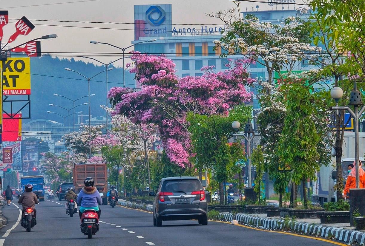 Detail Foto Kota Magelang Nomer 4