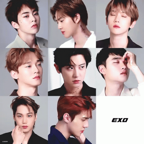 Detail Foto Kpop Exo Nomer 16