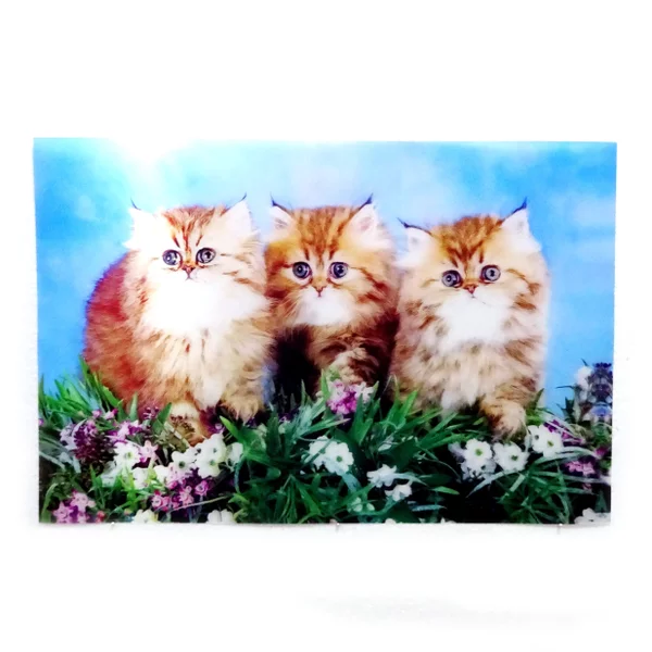 Detail Foto Kucing 3d Nomer 31