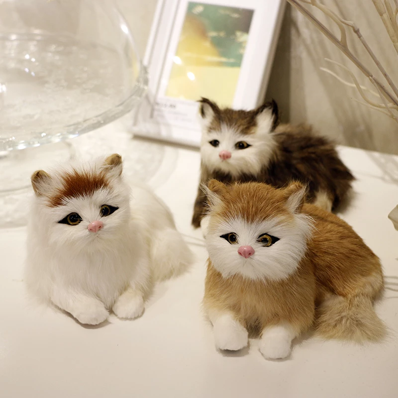 Detail Foto Kucing Duduk Nomer 54