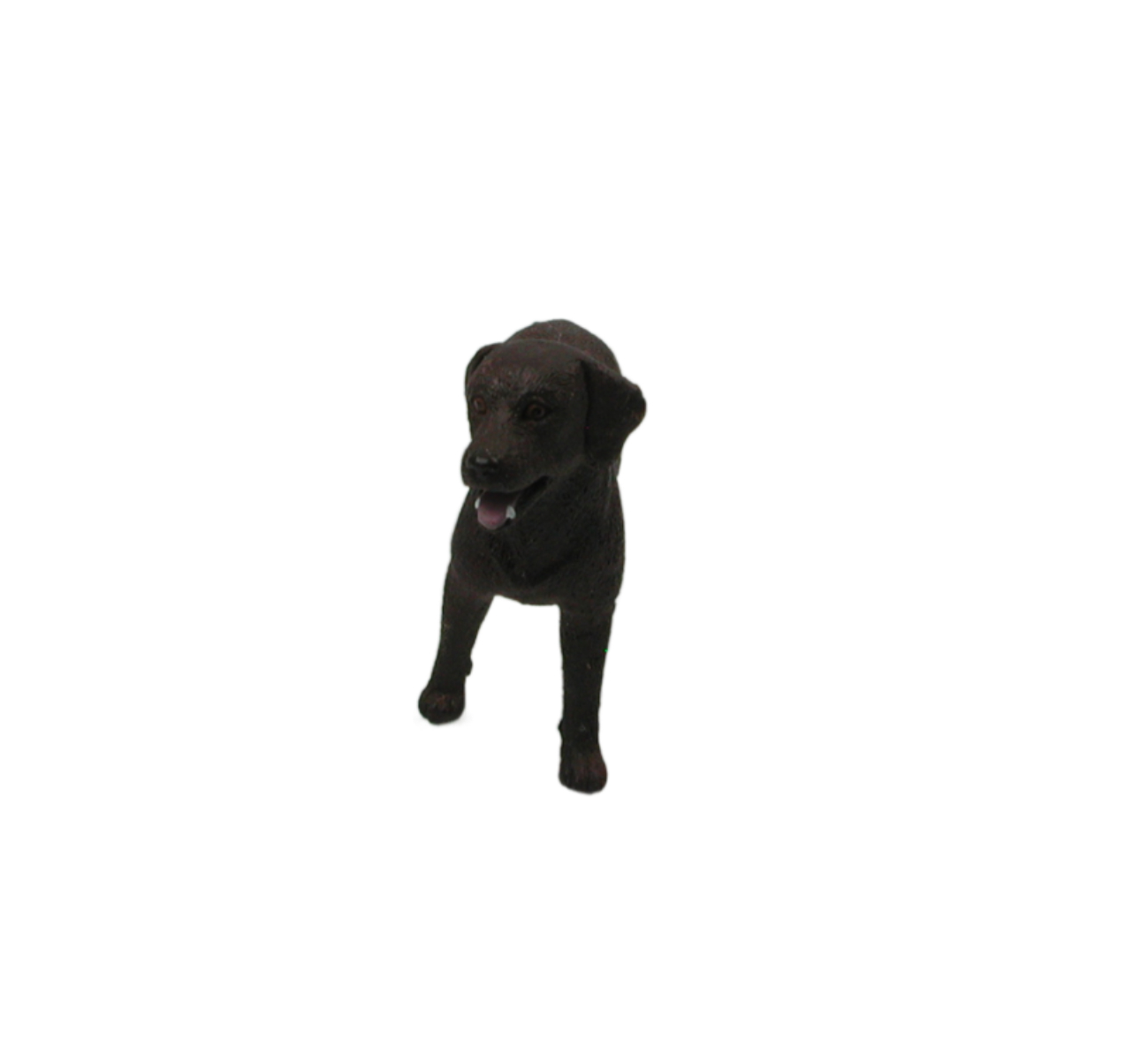 Detail Dunkelbrauner Labrador Nomer 10