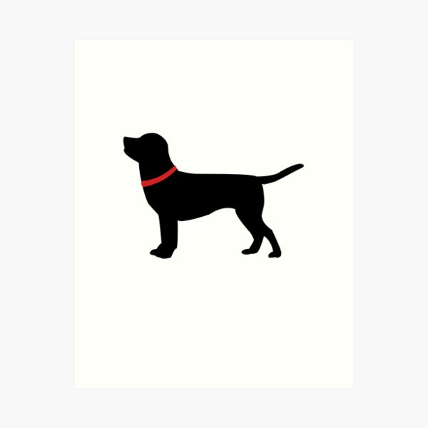 Detail Dunkelbrauner Labrador Nomer 15