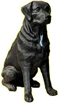 Detail Dunkelbrauner Labrador Nomer 7