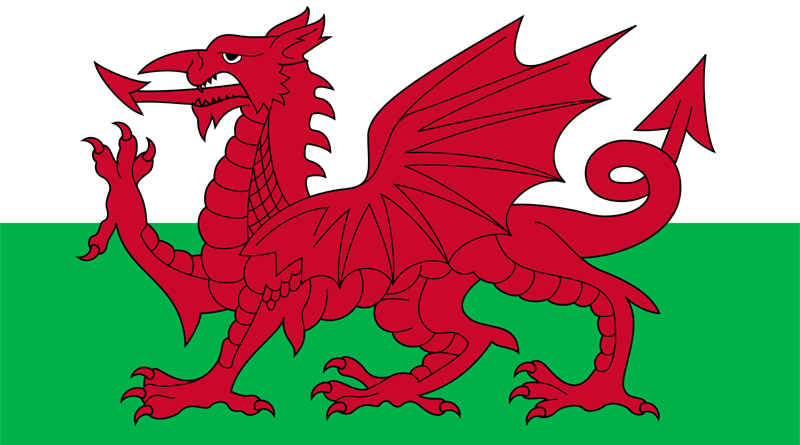 Detail Flagge Drache Nomer 4